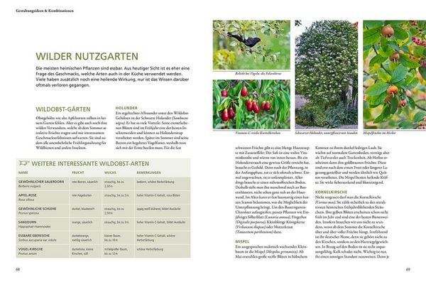 Produktbild: Wild & bunt