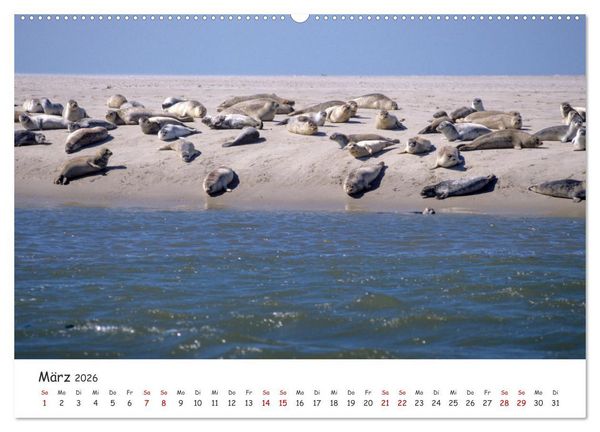 Produktbild: Nordsee, Meer, Strand und Wind (Wandkalender 2026 DIN A2 quer), CALVENDO Monatskalender