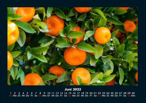 Produktbild: Obstkalender 2025 Fotokalender DIN A4