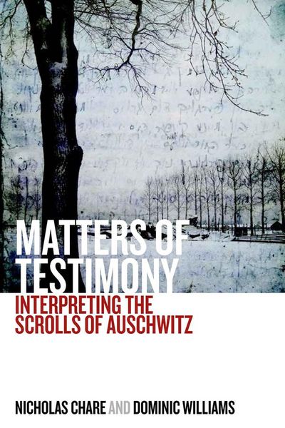Produktbild: Matters of Testimony