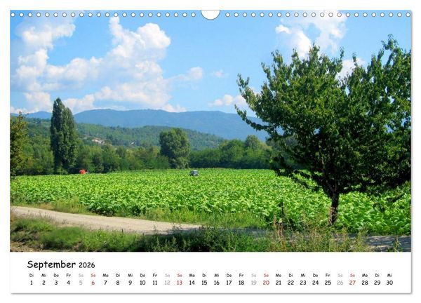 Produktbild: Franziskusweg - Camino di Assisi (Wandkalender 2026 DIN A3 quer), CALVENDO Monatskalender