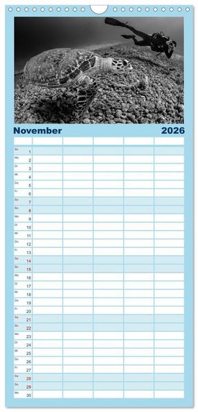 Produktbild: Familienplaner 2026 - Schildkr&ouml;ten des Ozeans mit 5 Spalten (Wandkalender, 21 x 45 cm) CALVENDO