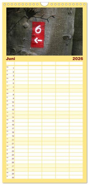 Produktbild: Familienplaner 2026 - Alles in Rot mit 5 Spalten (Wandkalender, 21 x 45 cm) CALVENDO