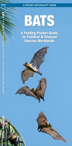 Produktbild: Bats