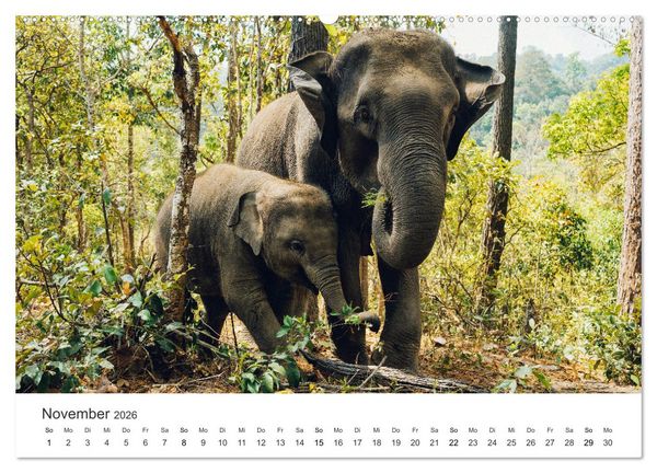 Produktbild: Thailand - Das Land des L&auml;chelns. (hochwertiger Premium Wandkalender 2026 DIN A2 quer), Kunstdruck in Hochglanz