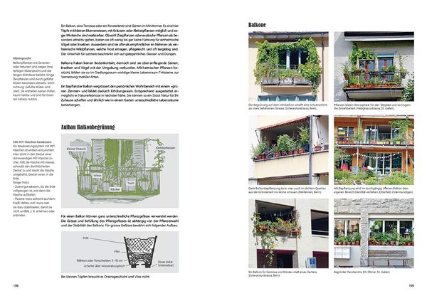 Produktbild: Praxishandbuch Stadtnatur