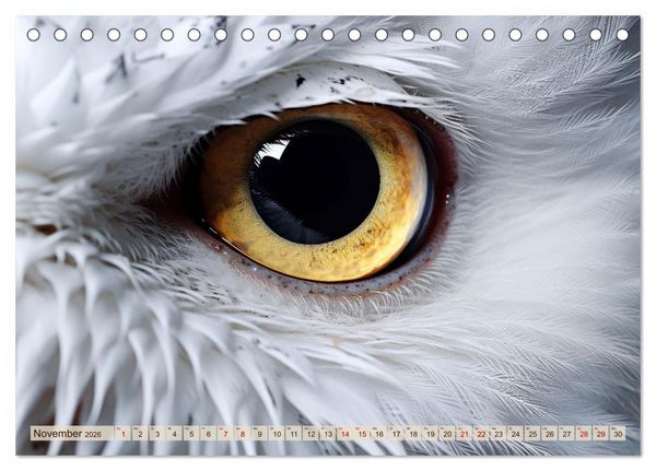 Produktbild: Schau mir ins Auge (Tischkalender 2026 DIN A5 quer), CALVENDO Monatskalender