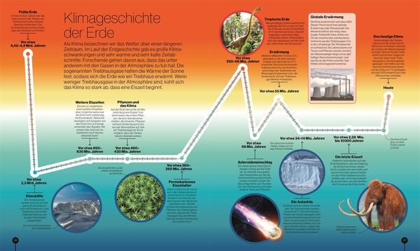 Produktbild: Reise durch die Natur