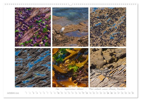 Produktbild: Rêves de Bretagne - Breizh (Calendrier mural 2026 DIN A2 vertical), CALVENDO calendrier mensuel