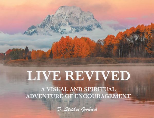 Produktbild: Live Revived