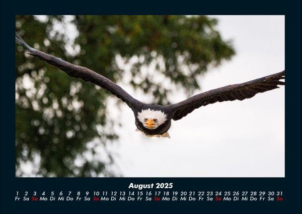 Produktbild: Adler 2025 Fotokalender DIN A4