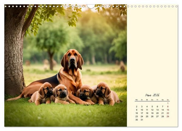 Produktbild: Bloodhound - M&auml;chtige Sp&uuml;rnase (Wandkalender 2026 DIN A3 quer), CALVENDO Monatskalender
