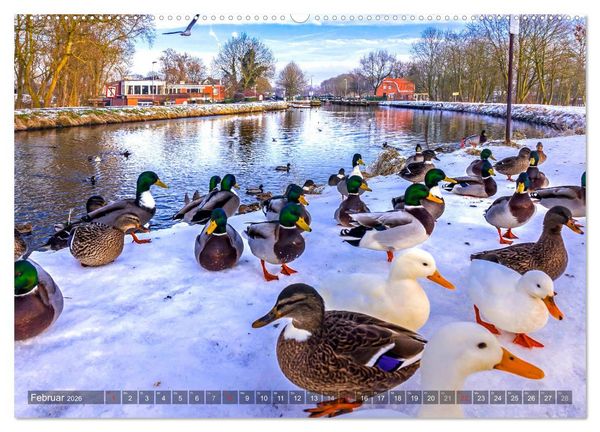 Produktbild: EMDEN Atemberaubende Momente am Wasser (Wandkalender 2026 DIN A2 quer), CALVENDO Monatskalender