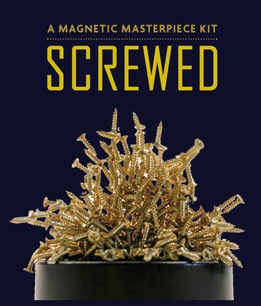 Produktbild: Screwed: A Magnetic Sculpture Kit [With 250 Tiny Metal Screws & Magnetic Base and Paperback Book]