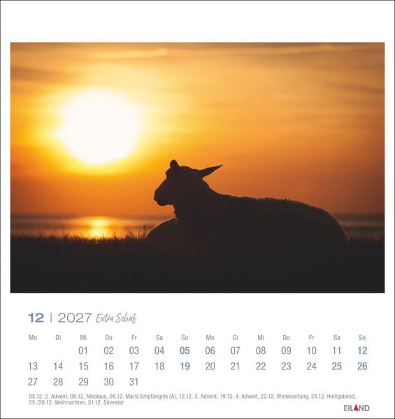 Produktbild: Extra Schaf Postkartenkalender 2027