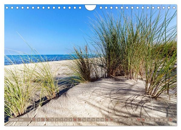 Produktbild: Inselliebe Langeoog (Wandkalender 2026 DIN A4 quer), CALVENDO Monatskalender
