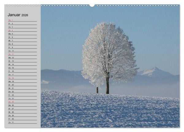 Produktbild: Magische B&auml;ume (hochwertiger Premium Wandkalender 2026 DIN A2 quer), Kunstdruck in Hochglanz