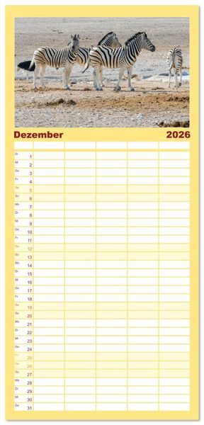 Produktbild: Familienplaner 2026 - Zebras in Afrika mit 5 Spalten (Wandkalender, 21 x 45 cm) CALVENDO