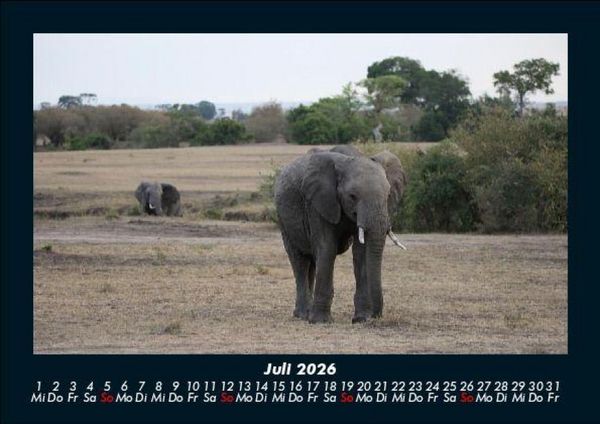 Produktbild: Elefanten - Die sanften Riesen Afrikas 2026 Fotokalender DIN A5