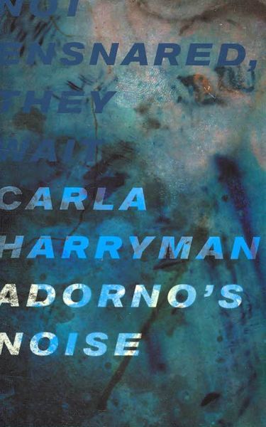 Produktbild: Harryman, C: Adorno's Noise