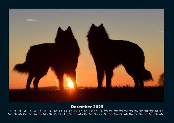 Produktbild: Hundezauber 2025 Fotokalender DIN A4