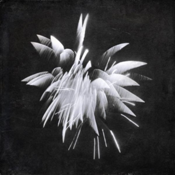 New Morning Howl - Brent Windler, CD