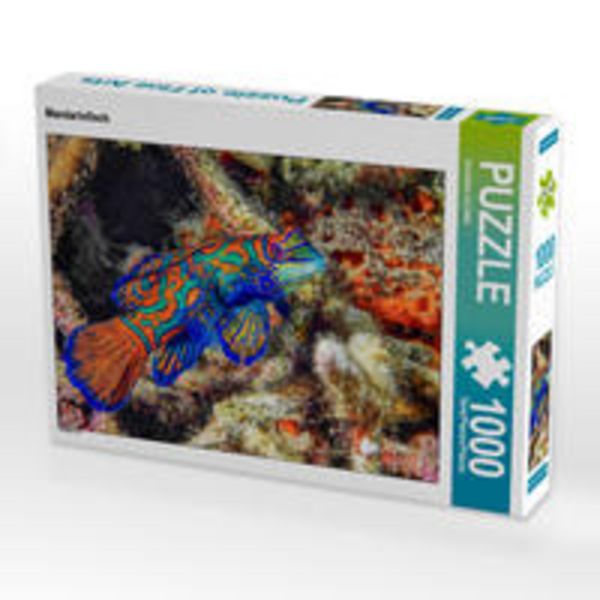 CALVENDO Puzzle Mandarinfisch | 1000 Teile Lege-Größe 64x48cm Foto-Puzzle für glückliche Stunden