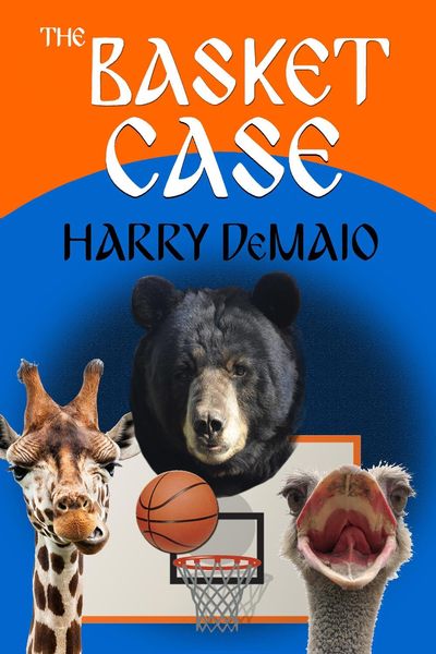 Produktbild: Basket Case