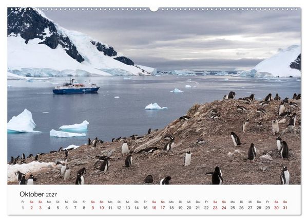 Produktbild: Pinguine - Die sympathischen Frack-Tr&auml;ger (Wandkalender 2027 DIN A2 quer), CALVENDO Monatskalender