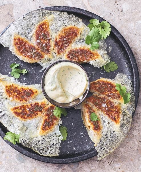 Produktbild: Gyoza, Dumplings & Co.
