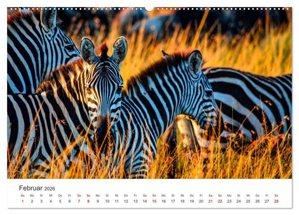 Produktbild: Kenia - Eine Safari durch unber&uuml;hrte Natur. (hochwertiger Premium Wandkalender 2026 DIN A2 quer), Kunstdruck in Hochglanz