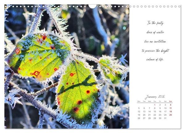 Produktbild: Golden breaks with mindfulness (Wall Calendar 2026 DIN A3 landscape), CALVENDO 12 Month Wall Calendar