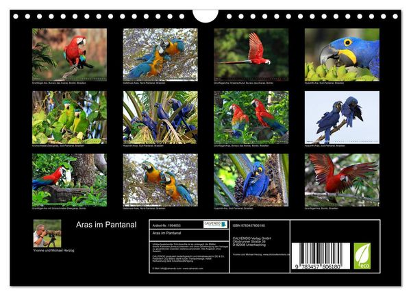 Produktbild: Aras im Pantanal (Wandkalender 2026 DIN A4 quer), CALVENDO Monatskalender