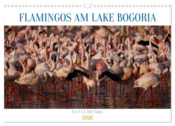 Produktbild: Flamingos am Lake Bogoria - Kenia (Wandkalender 2026 DIN A3 quer), CALVENDO Monatskalender
