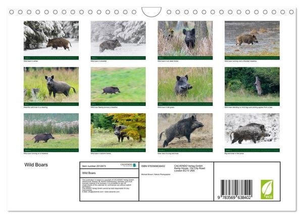 Produktbild: Wild Boars (Wall Calendar 2027 DIN A4 landscape), CALVENDO 12 Month Wall Calendar