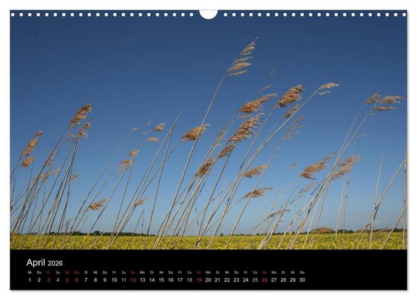 Produktbild: Wunderbare Nordsee (Wandkalender 2026 DIN A3 quer), CALVENDO Monatskalender