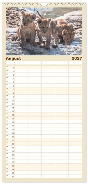 Produktbild: Familienplaner 2027 - L&ouml;wen - Raubkatzen Afrikas mit 5 Spalten (Wandkalender, 21 x 45 cm) CALVENDO