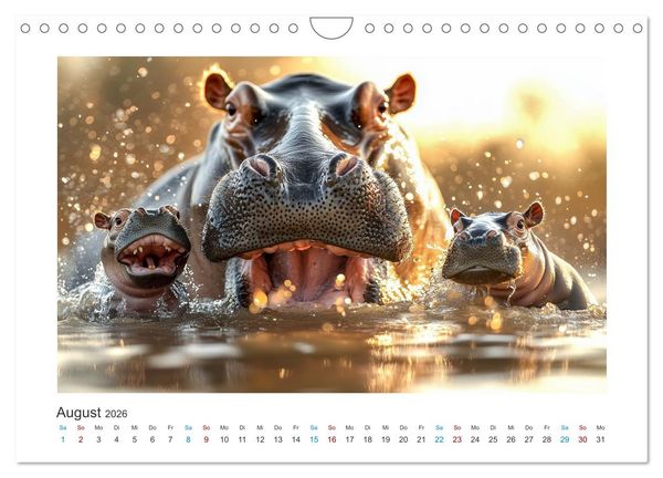 Produktbild: Geheimnisvolle Wildnis (Wandkalender 2026 DIN A4 quer), CALVENDO Monatskalender