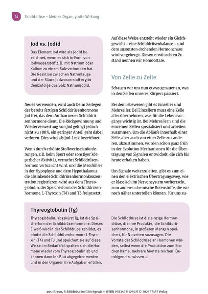 Produktbild: Schilddr&uuml;se im Gleichgewicht