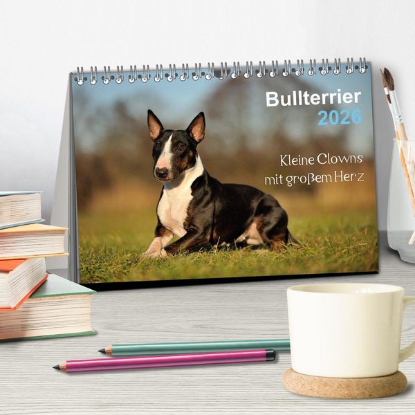 Produktbild: Bullterrier 2026 - Kleine Clowns mit gro&szlig;em Herz (Tischkalender 2026 DIN A5 quer), CALVENDO Monatskalender