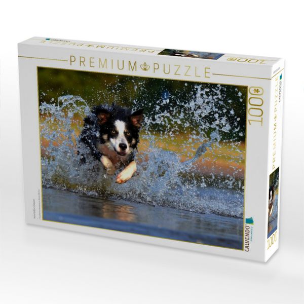 Produktbild: CALVENDO Puzzle Hund tobt im Wasser | 1000 Teile Lege-Gr&ouml;&szlig;e 64x48cm Foto-Puzzle f&uuml;r gl&uuml;ckliche Stunden
