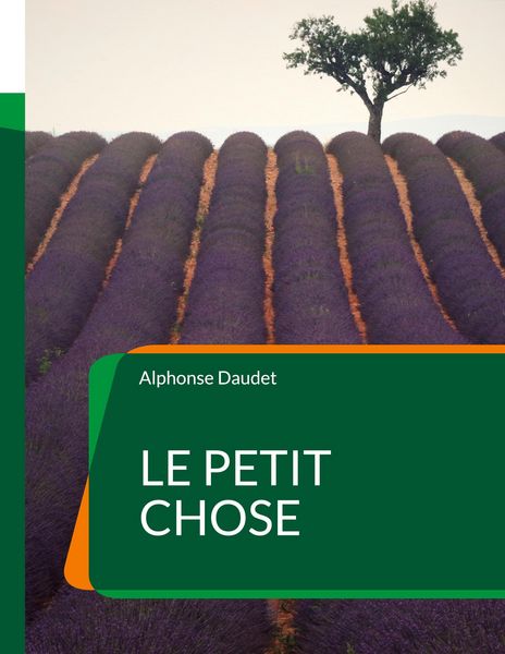 Produktbild: Le Petit Chose