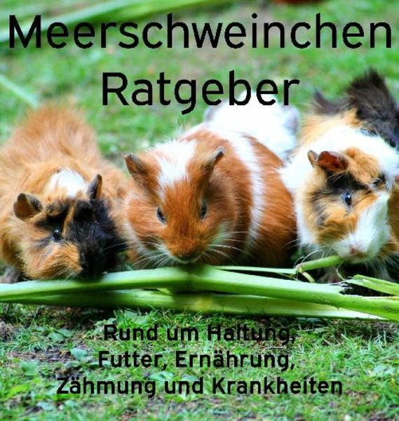 Produktbild: Meerschweinchen Ratgeber.