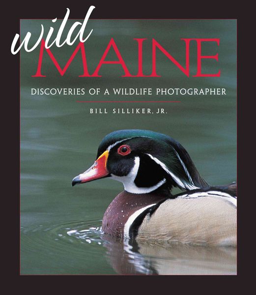 Produktbild: Wild Maine