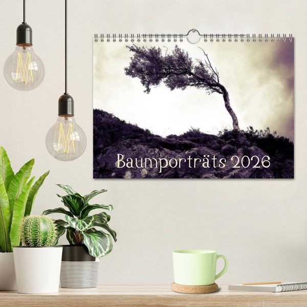 Produktbild: Baumportr&auml;ts 2026 (Wandkalender 2026 DIN A4 quer), CALVENDO Monatskalender