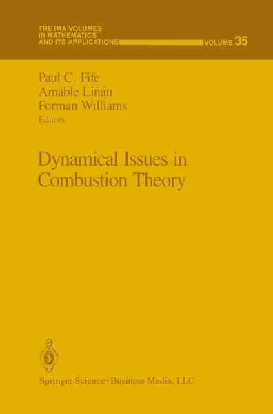 Produktbild: Dynamical Issues in Combustion Theory