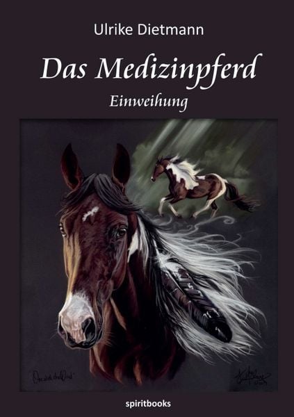 Produktbild: Das Medizinpferd
