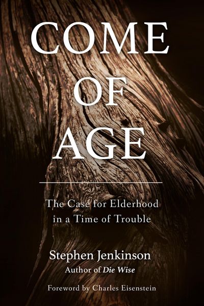 Produktbild: Come of Age