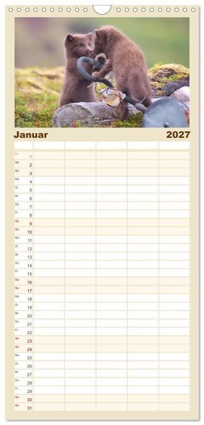 Produktbild: Familienplaner 2027 - Polarfuchs-Welpen mit 5 Spalten (Wandkalender, 21 x 45 cm) CALVENDO