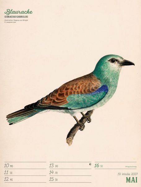 Produktbild: Wunderbare Vogelwelt Wochenplaner Kalender 2027